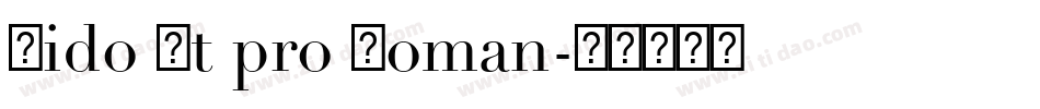 Dido Lt pro Roman字体转换